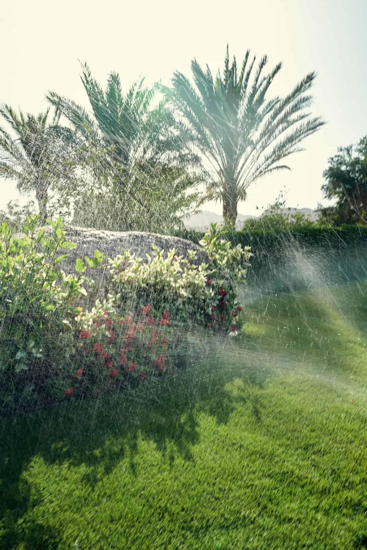 Irrigation and Water Management