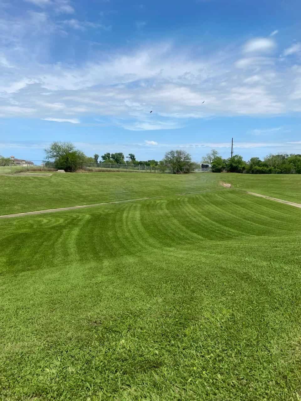 Irrigation and Water Management