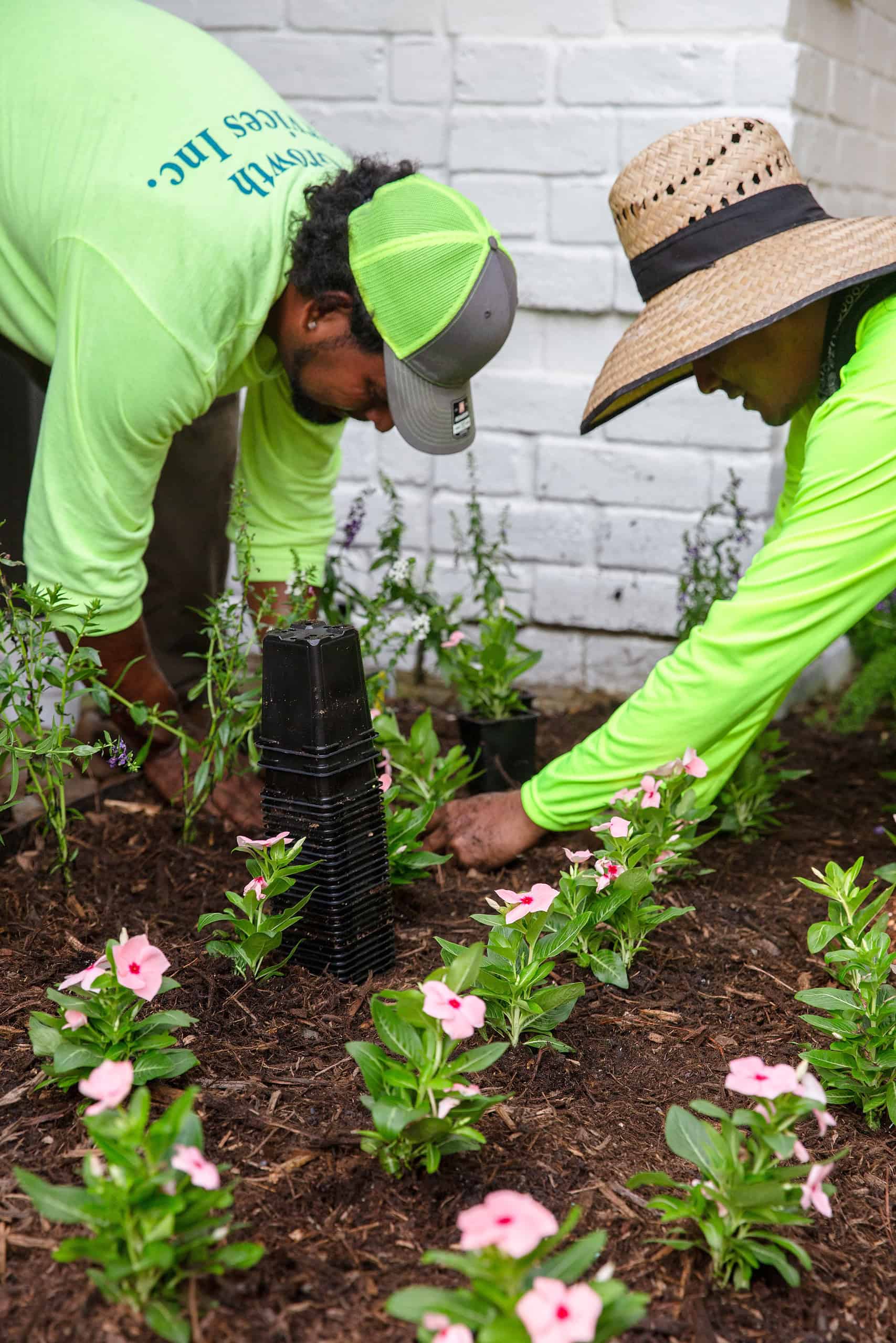 Landscape Design Enhancements