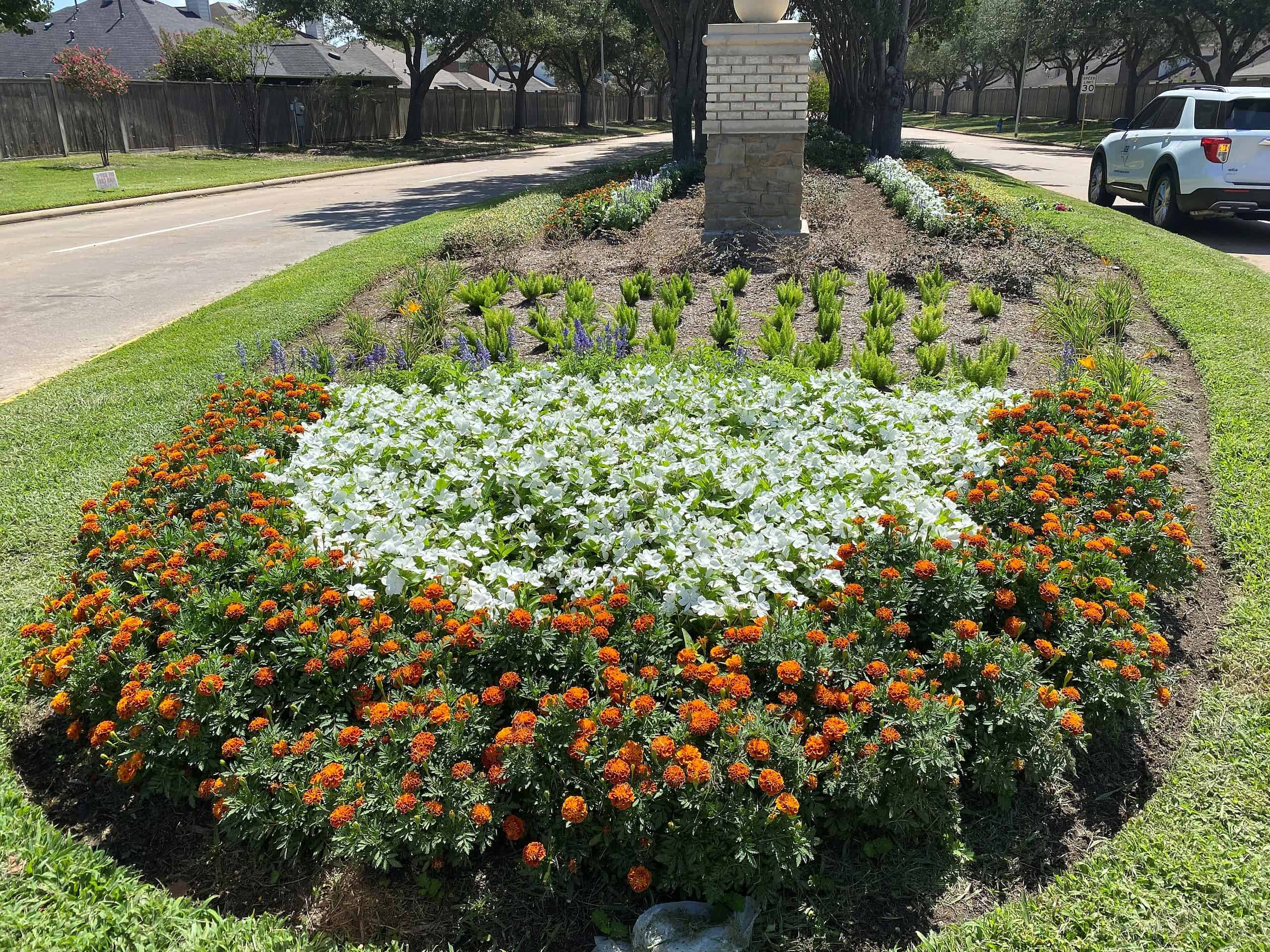 Landscape Design Enhancements