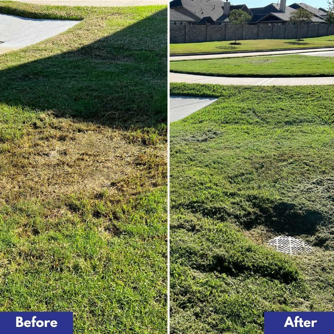 drainage before and after 