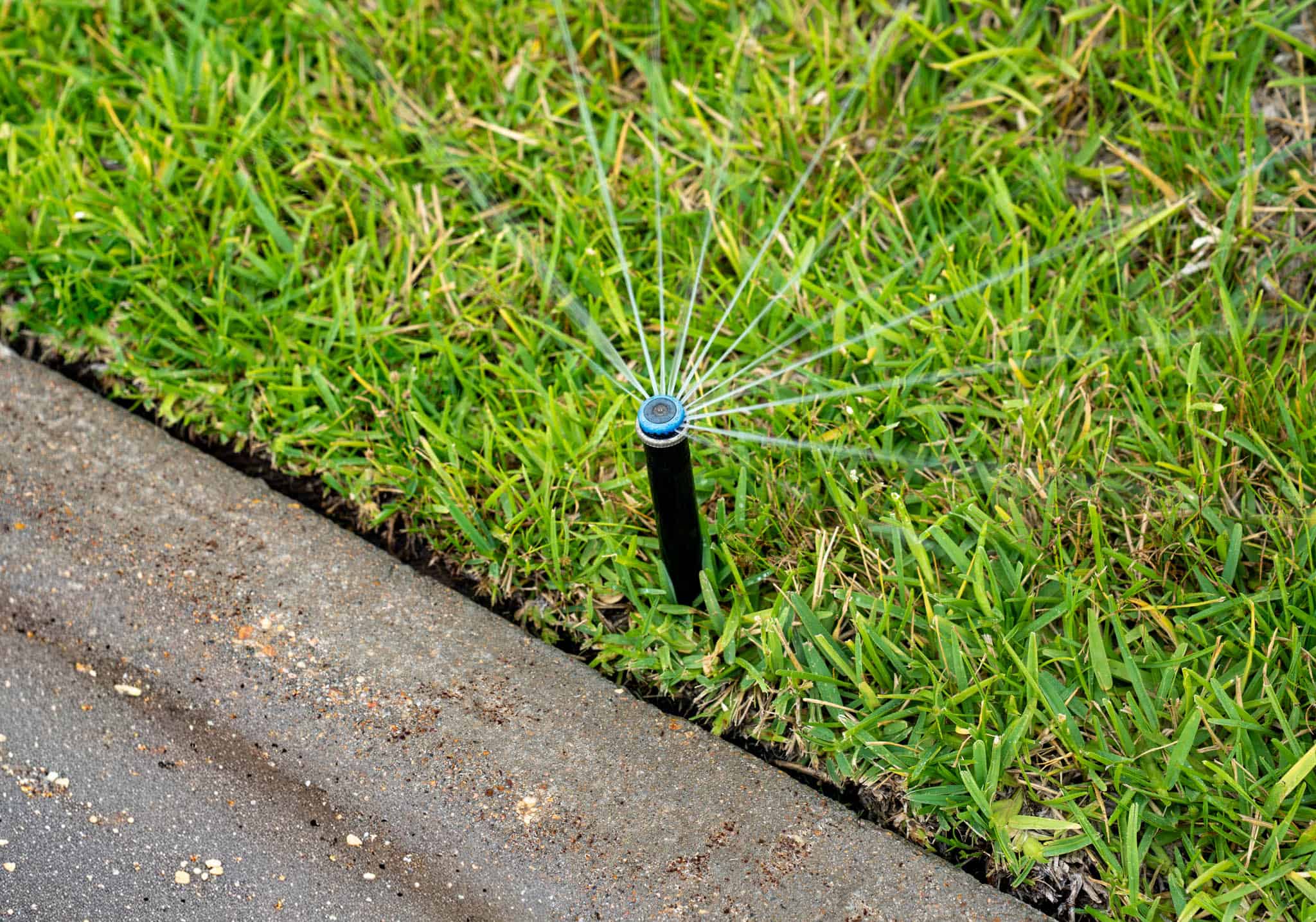 Irrigation and Water Management